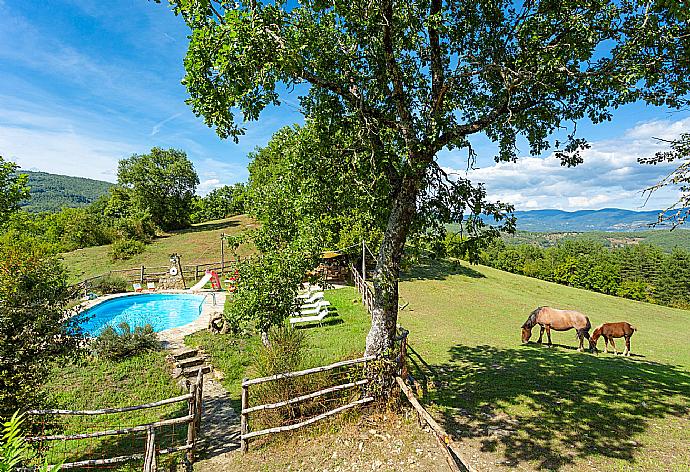 Private pool, terrace, and garden with countryside views . - Villa Bellavista . (Galería de imágenes) }}