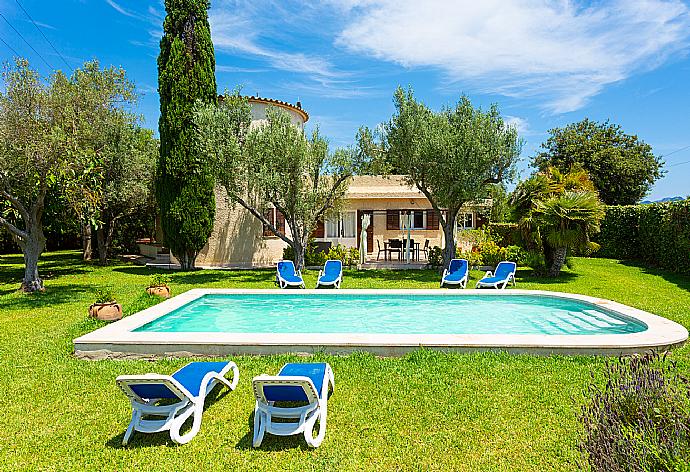 Beautiful villa with private pool, terrace, and garden . - Villa La Torre . (Galleria fotografica) }}