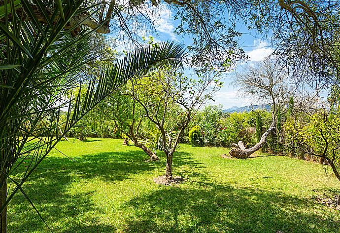 Garden area . - Villa La Torre . (Galleria fotografica) }}