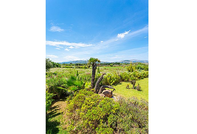 Garden area . - Villa La Torre . (Galleria fotografica) }}