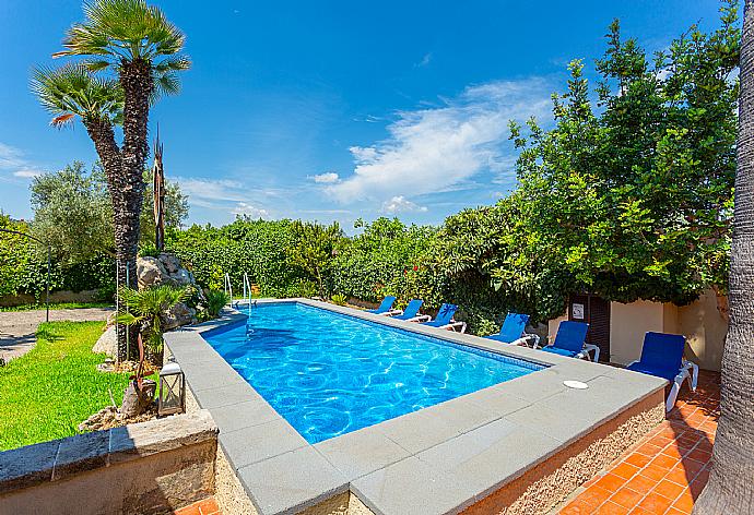 Private pool, terrace, and lawn . - Villa Cortijo 1 . (Galería de imágenes) }}