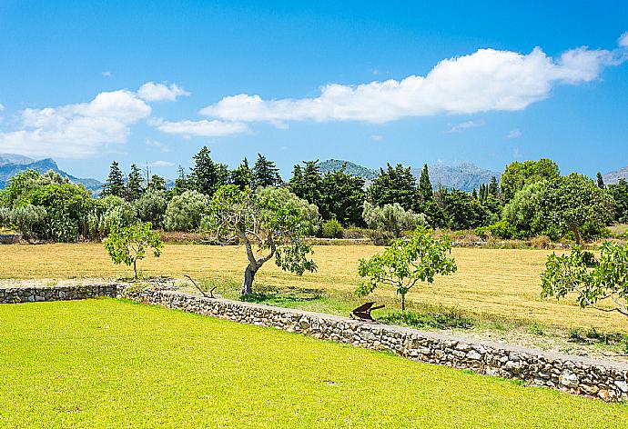 Garden area . - Villa Ignaci . (Galerie de photos) }}