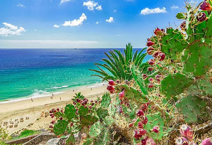 Local beach . - Villa Mariposas Uno . (Galería de imágenes) }}