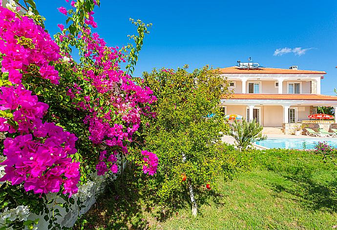 Garden area . - Villa Kubra . (Fotogalerie) }}