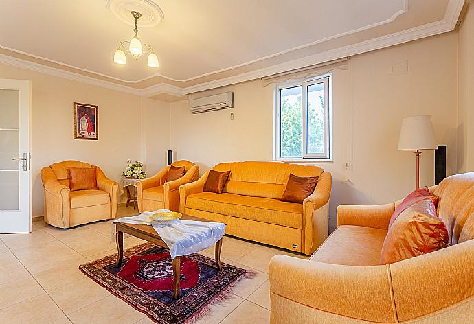 Living room with sofas, ornamental fireplace, A/C, WiFi internet, satellite TV, DVD player, and terrace access  . - Villa Kubra . (Fotogalerie) }}