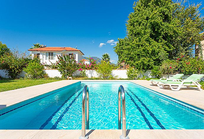 Private pool, terrace, and garden . - Villa Atlantis . (Galerie de photos) }}