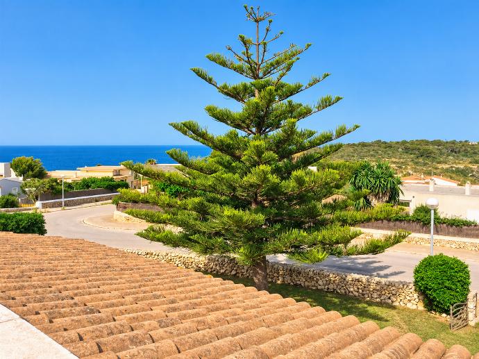 Villa Bini Estrella