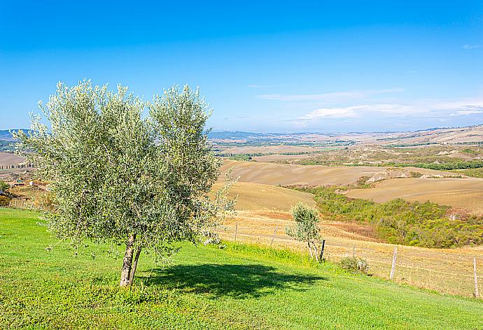 View from villa . - Villa Podere Belvedere . (Fotogalerie) }}