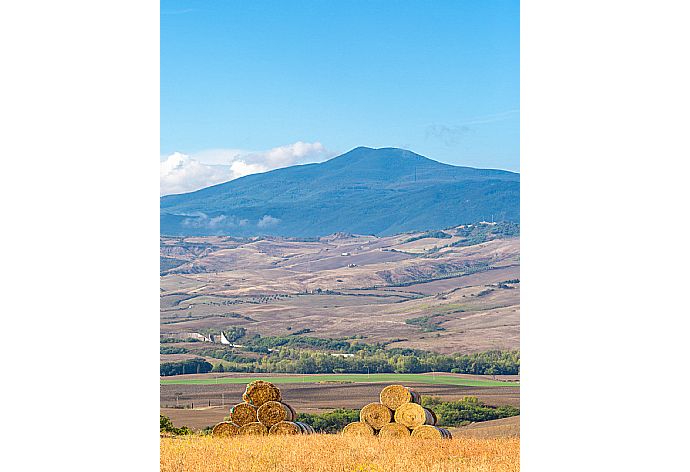 View from villa . - Villa Podere Belvedere . (Galerie de photos) }}