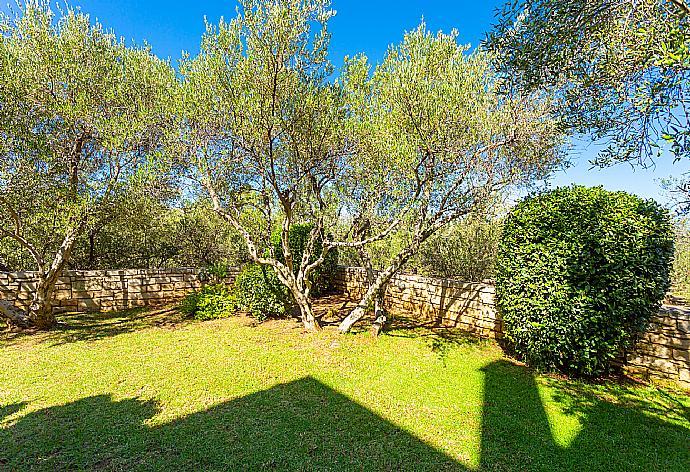 Garden area . - Villa Maria . (Fotogalerie) }}