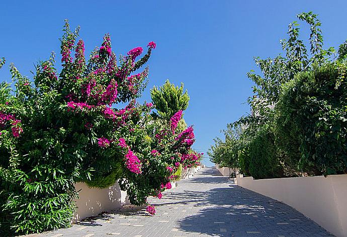 Outdoor area  . - Villa Selini 7 . (Photo Gallery) }}