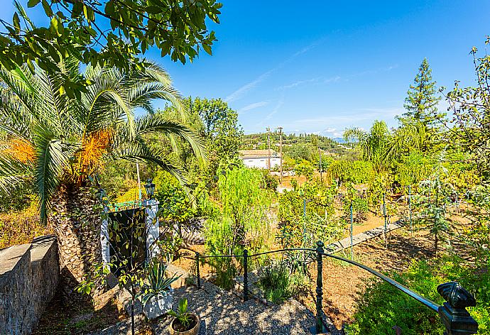 Garden area . - Villa Golden Tiara . (Galerie de photos) }}