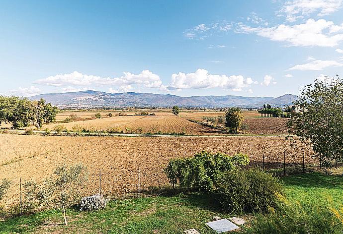 Outdoor area . - Villa San Lorenzo . (Photo Gallery) }}