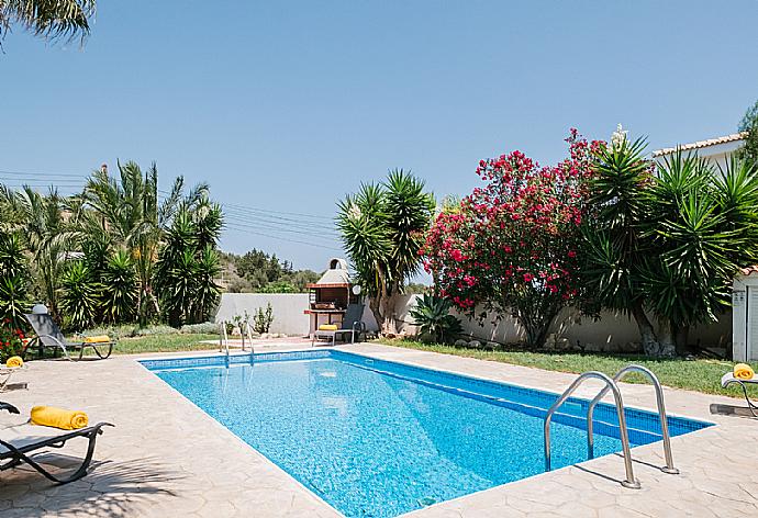 Private pool . - Villa Aphrodite . (Photo Gallery) }}