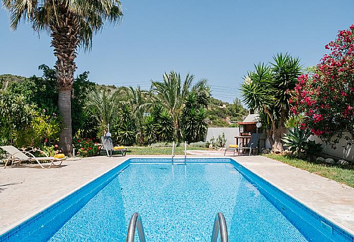 Beautiful Villa with private pool . - Villa Aphrodite . (Fotogalerie) }}