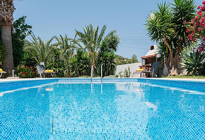 Pool . - Villa Aphrodite . (Photo Gallery) }}