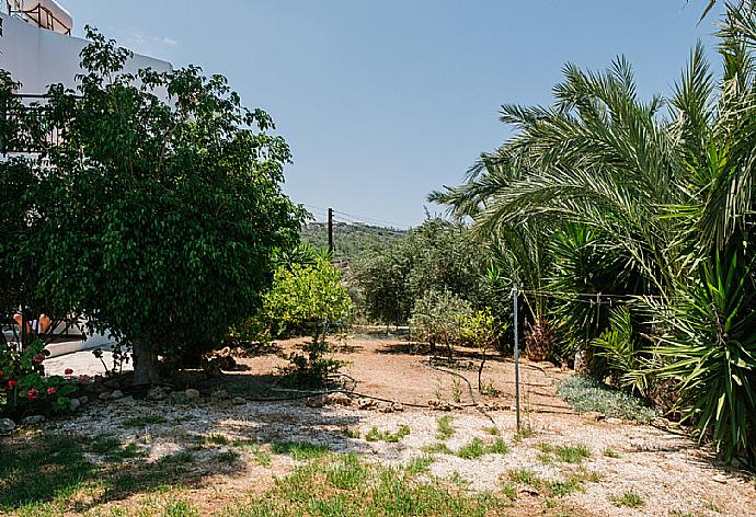 Garden  . - Villa Aphrodite . (Galleria fotografica) }}