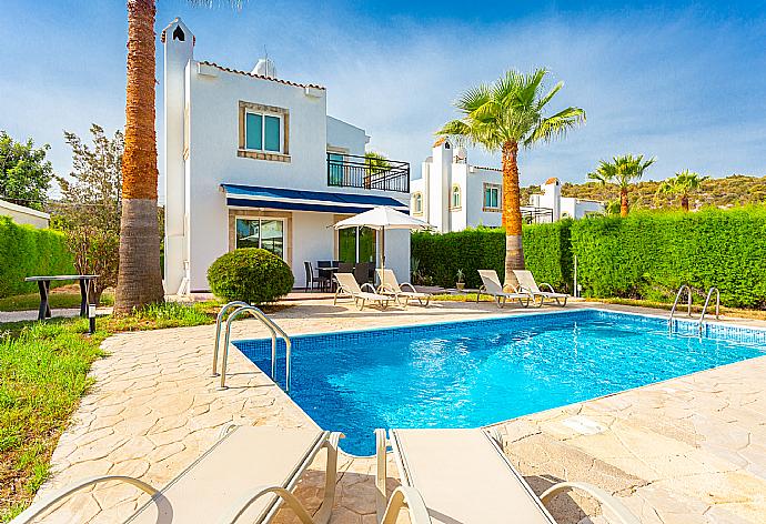 ,Beautiful villa with private pool and terrace . - Villa Cleopatra . (Fotogalerie) }}