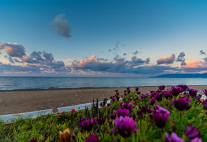 Views  . - Villa Maritsa . (Galleria fotografica) }}