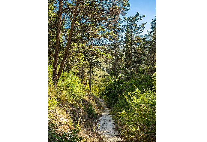 Pathway to Loggos immediately below Villa Alexandros . - Villa Alexandros . (Galerie de photos) }}