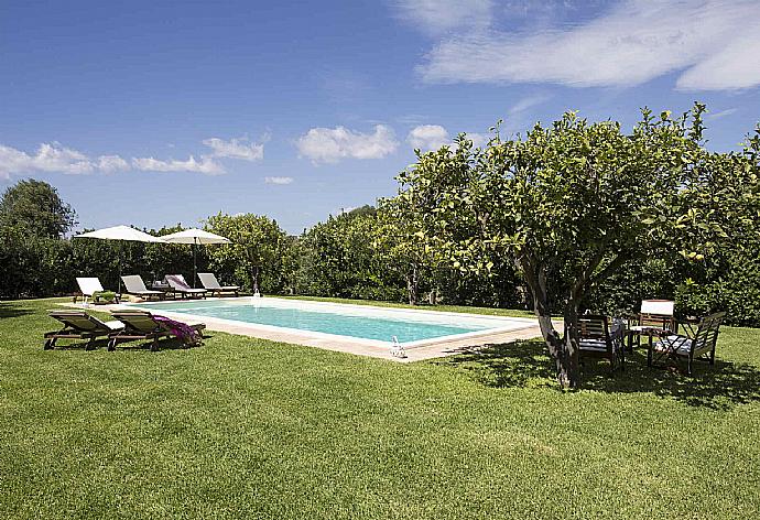 Private pool and terrace . - Casale dell Ulivo . (Galerie de photos) }}