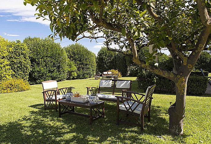 GARDEN AREA . - Casale dell Ulivo . (Fotogalerie) }}