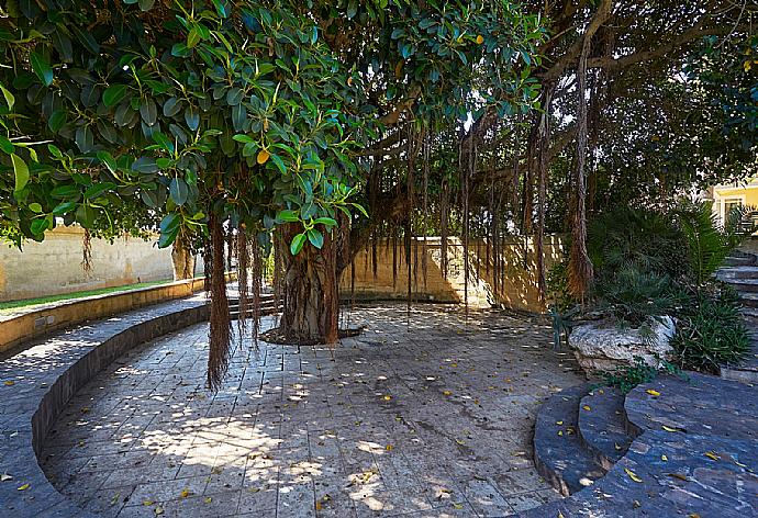 Terrace area . - Villa Lady Pearl . (Fotogalerie) }}