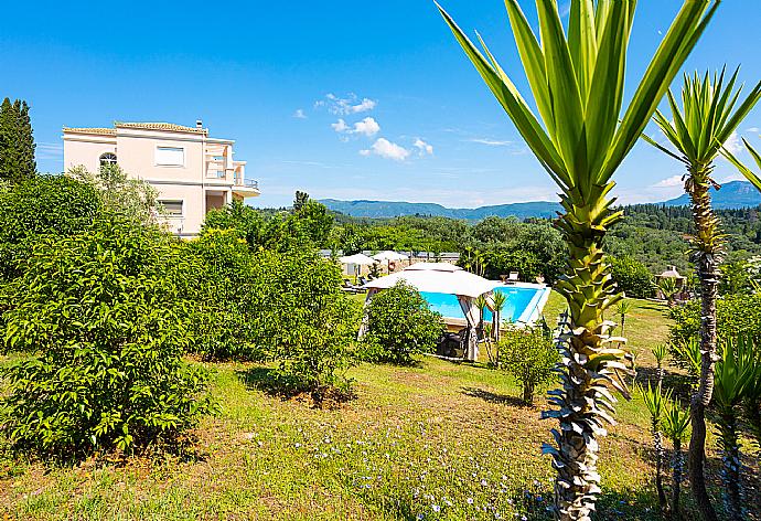 Garden area . - Villa Denise . (Galerie de photos) }}