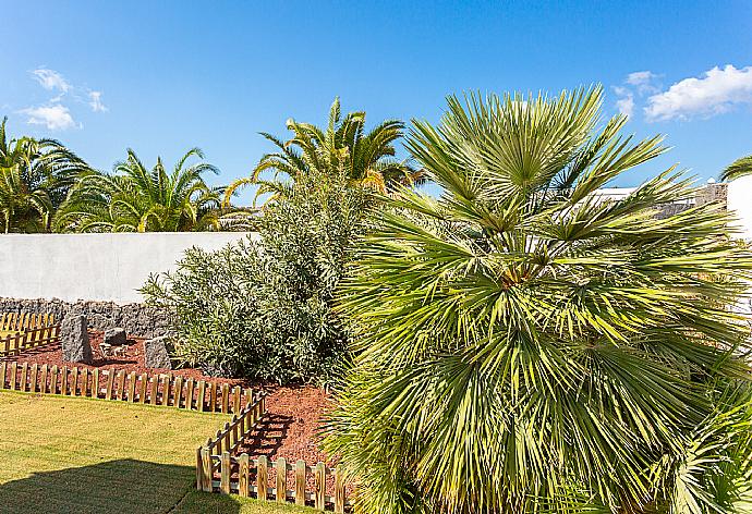 Garden area . - Villa Tropical . (Galería de imágenes) }}