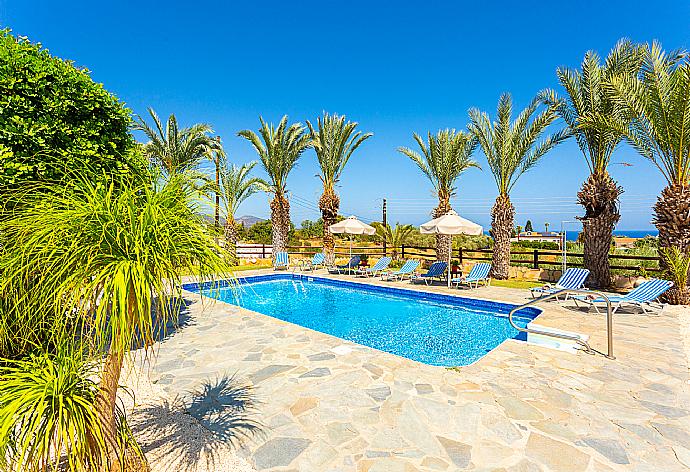 Private pool, terrace, and garden . - Villa Amorosa . (Galería de imágenes) }}