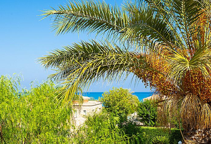 Sea view from upper terrace . - Villa Izabella . (Galerie de photos) }}