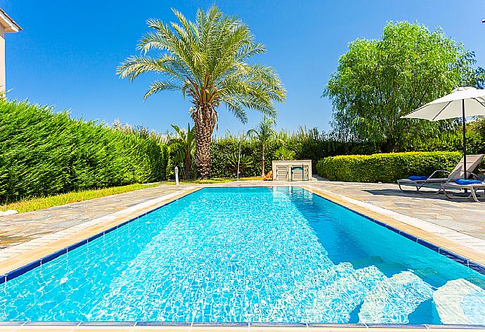 Private pool and terrace . - Villa Diana . (Fotogalerie) }}