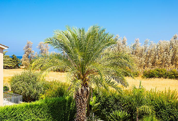 View from upper terrace . - Villa Diana . (Galerie de photos) }}