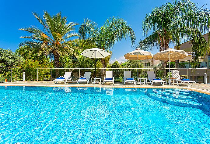 Private infinity pool, terrace, and garden with sea views . - Villa Galene . (Photo Gallery) }}