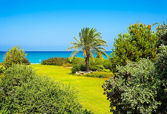 Garden area . - Villa Galene . (Photo Gallery) }}