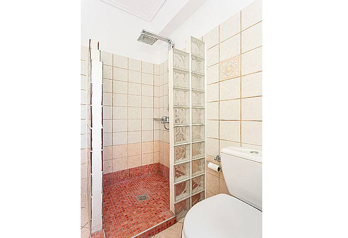 Family bathroom with shower . - Villa Europe Ena . (Photo Gallery) }}