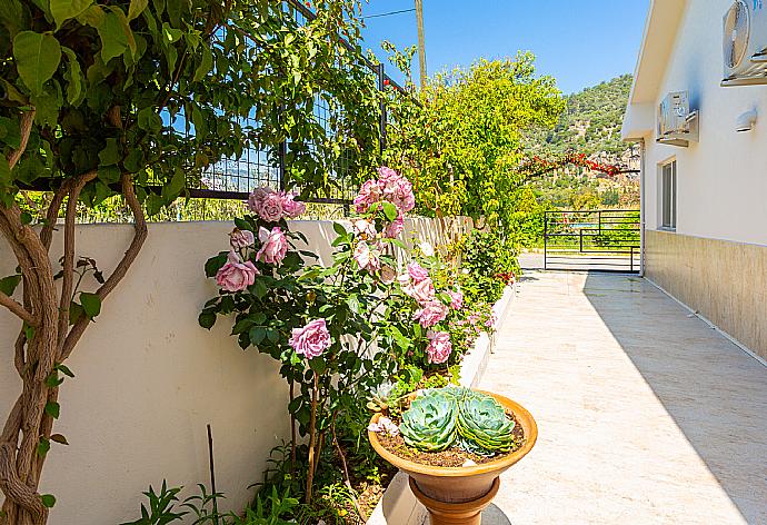 Garden area . - Villa Zonkdemir . (Photo Gallery) }}