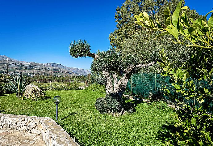 Garden area . - Villa Camelia . (Photo Gallery) }}