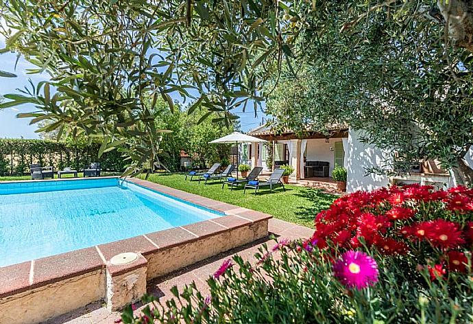 Private pool, terrace, and garden . - Villa Eternidad . (Galería de imágenes) }}