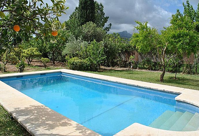 Private pool, terrace, and garden . - Villa Angel . (Photo Gallery) }}