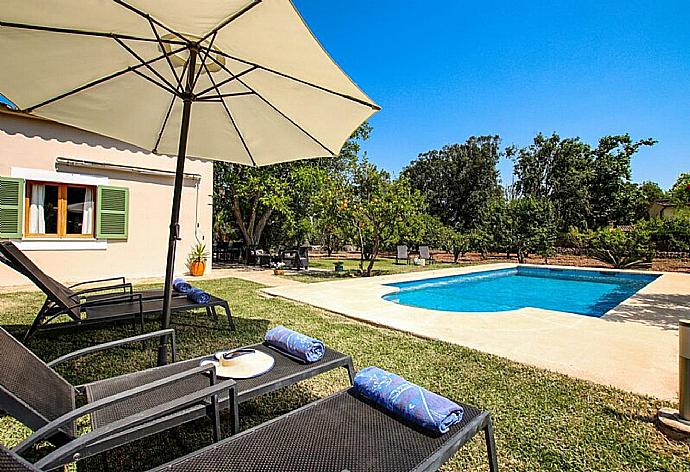 Private pool, terrace, and garden . - Villa Angel . (Photo Gallery) }}