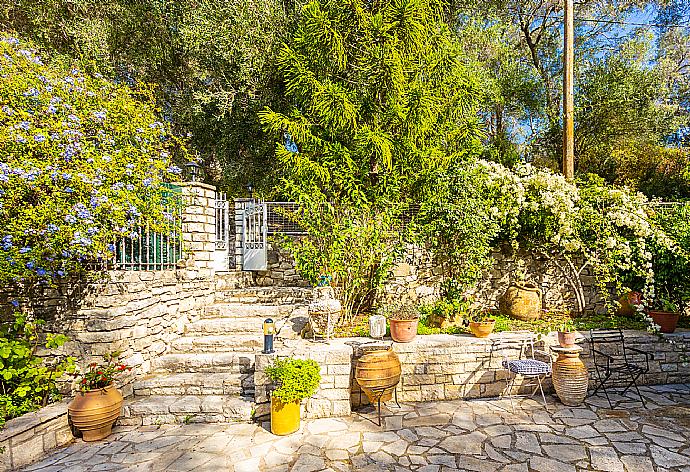 Terrace area . - Dimitris Cottage . (Galerie de photos) }}