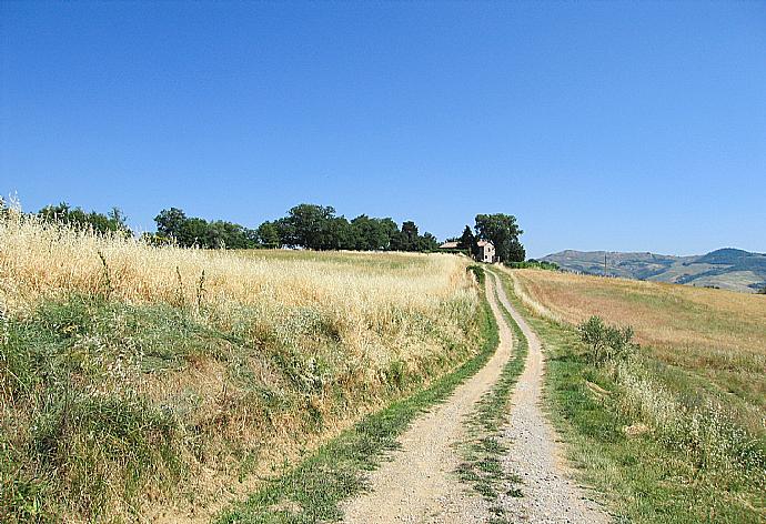 Driveway . - Casale Donatelli . (Galleria fotografica) }}