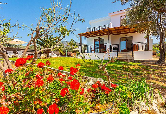 Garden area . - Villa Sunset . (Fotogalerie) }}