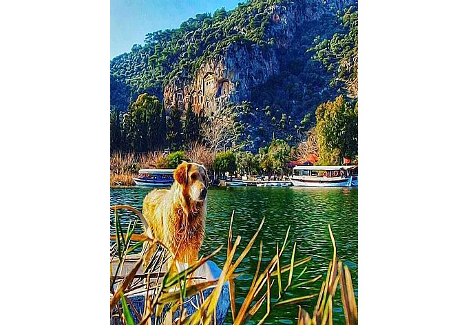 View to famous Lycian Rock Tombs  . - Dalyan Palace . (Galería de imágenes) }}