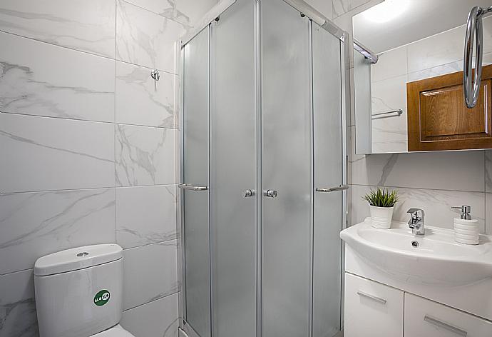 Bathroom with shower . - Villa Emilia . (Fotogalerie) }}