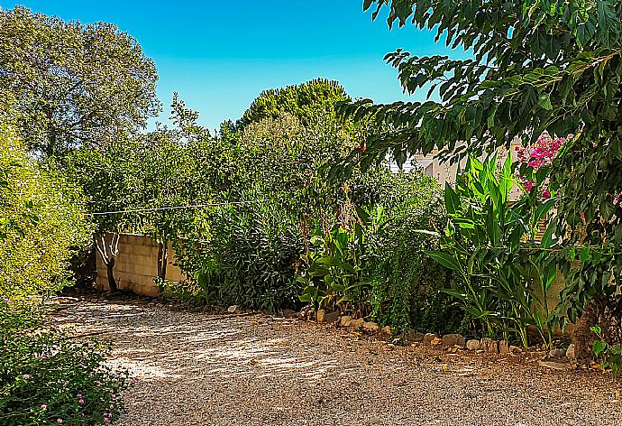 Garden area . - Yiangos House . (Fotogalerie) }}