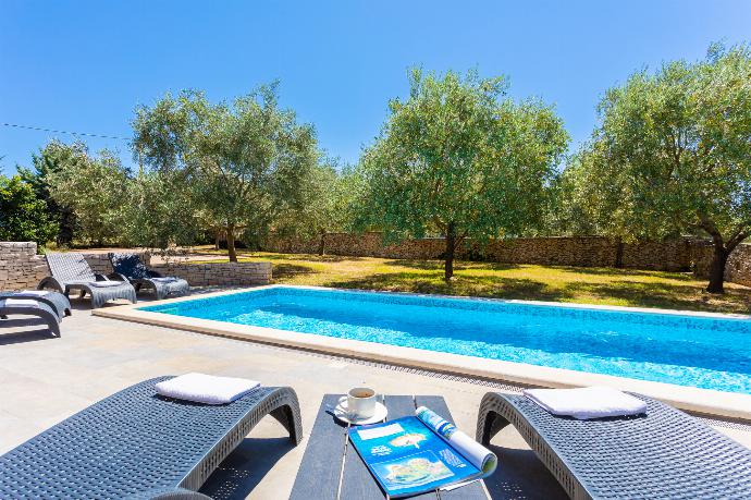Private pool and terrace . - Villa Krnica . (Fotogalerie) }}
