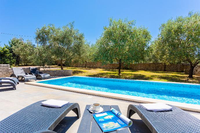 Private pool and terrace . - Villa Krnica . (Photo Gallery) }}