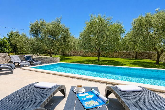 Private pool and terrace . - Villa Krnica . (Photo Gallery) }}